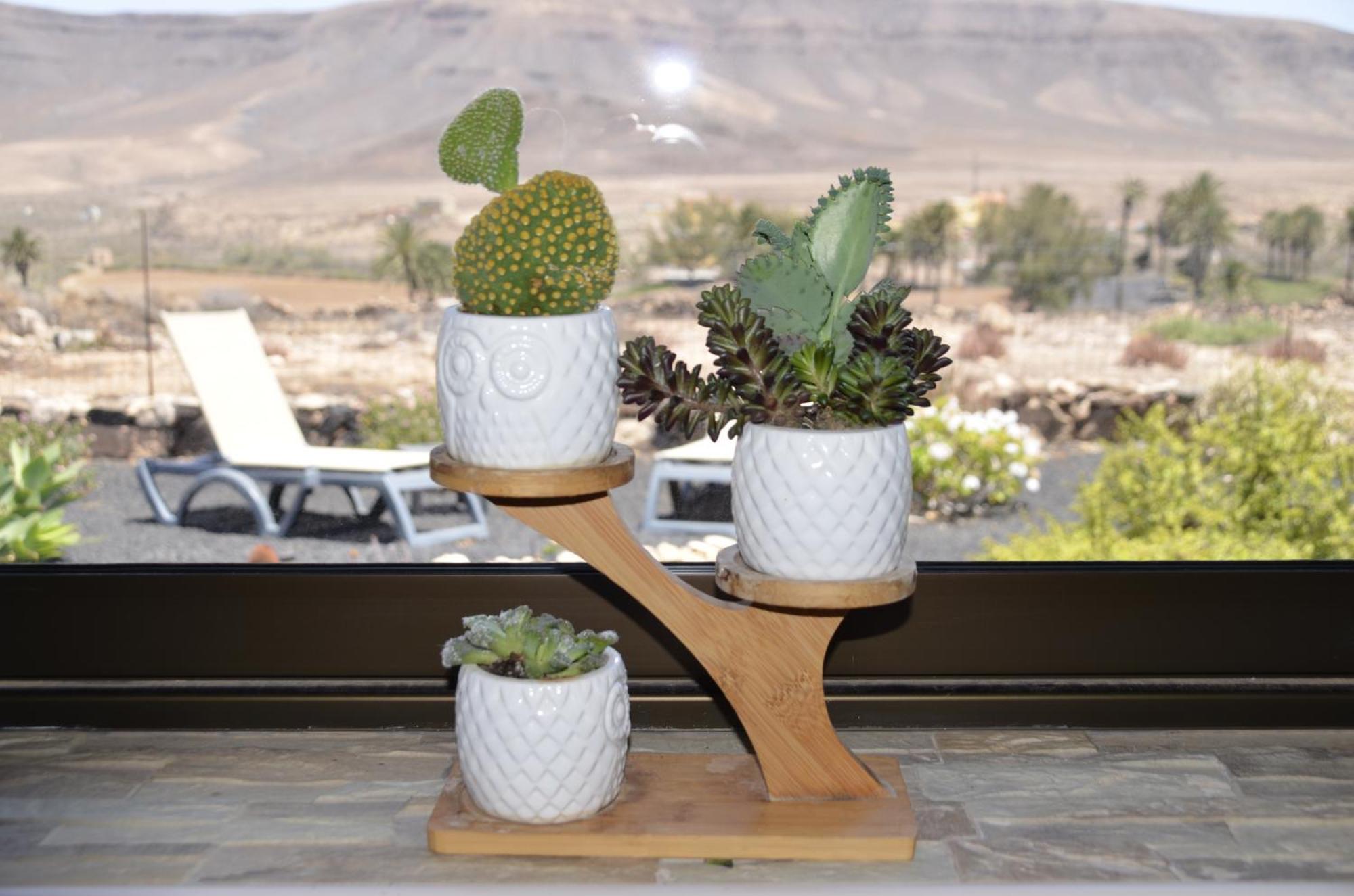 فيلا Casa Vista Oasis En Fuerteventura La Guirra المظهر الخارجي الصورة